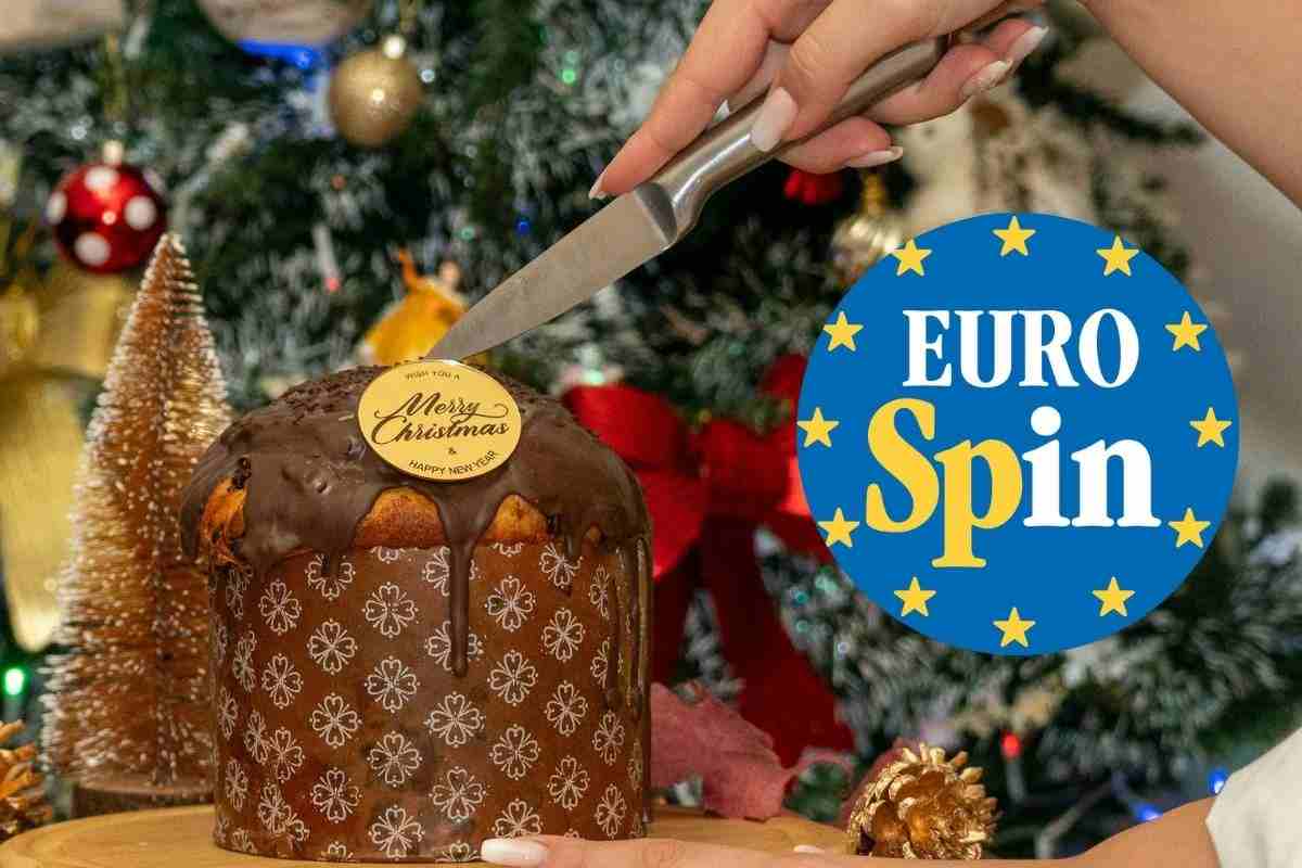 panettone eurospin