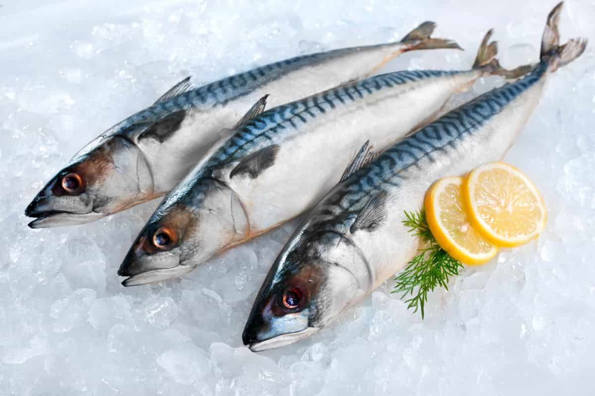 come riconoscere il pesce surgelato di qualità