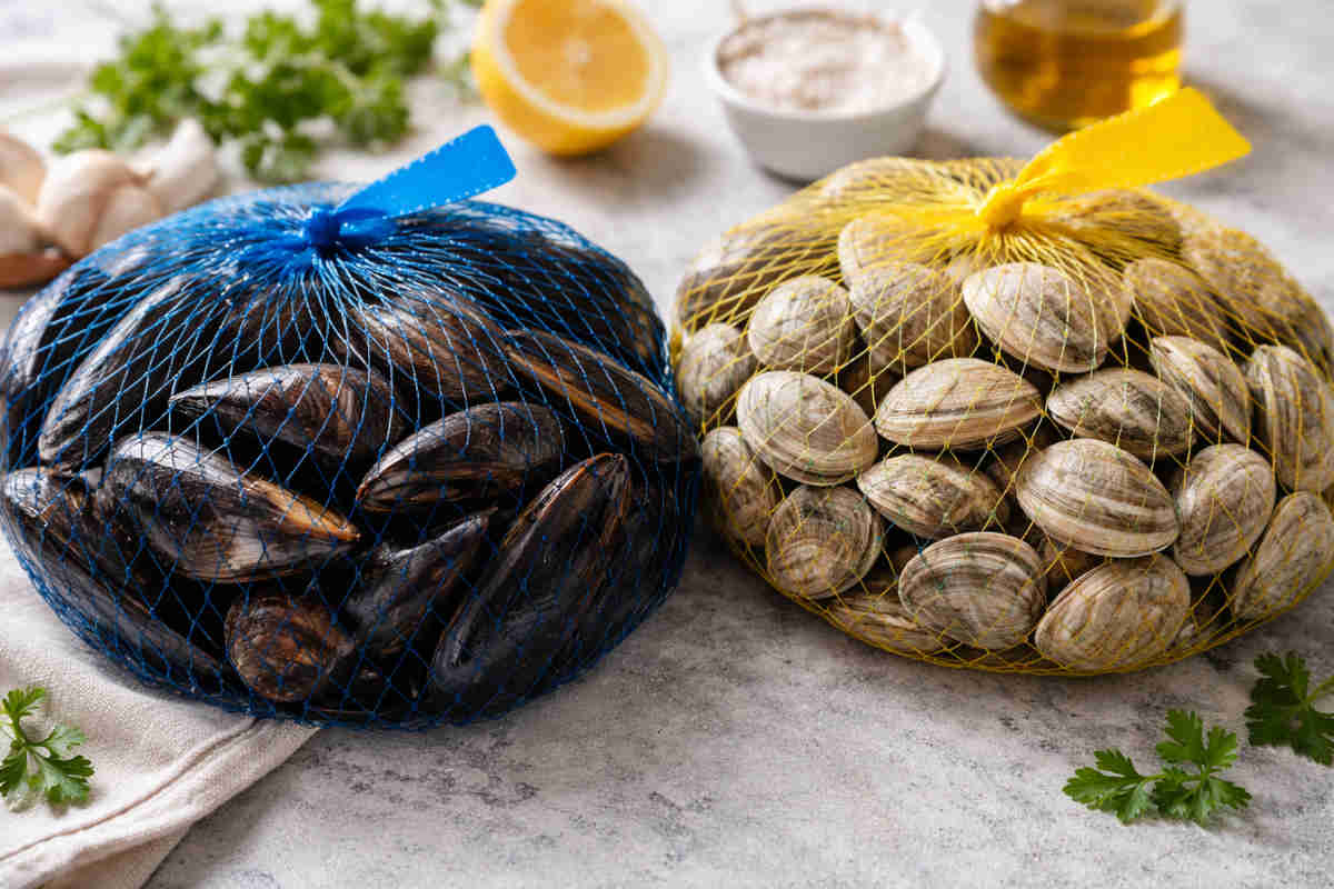 Retine da pesca con dentro cozze e vongole
