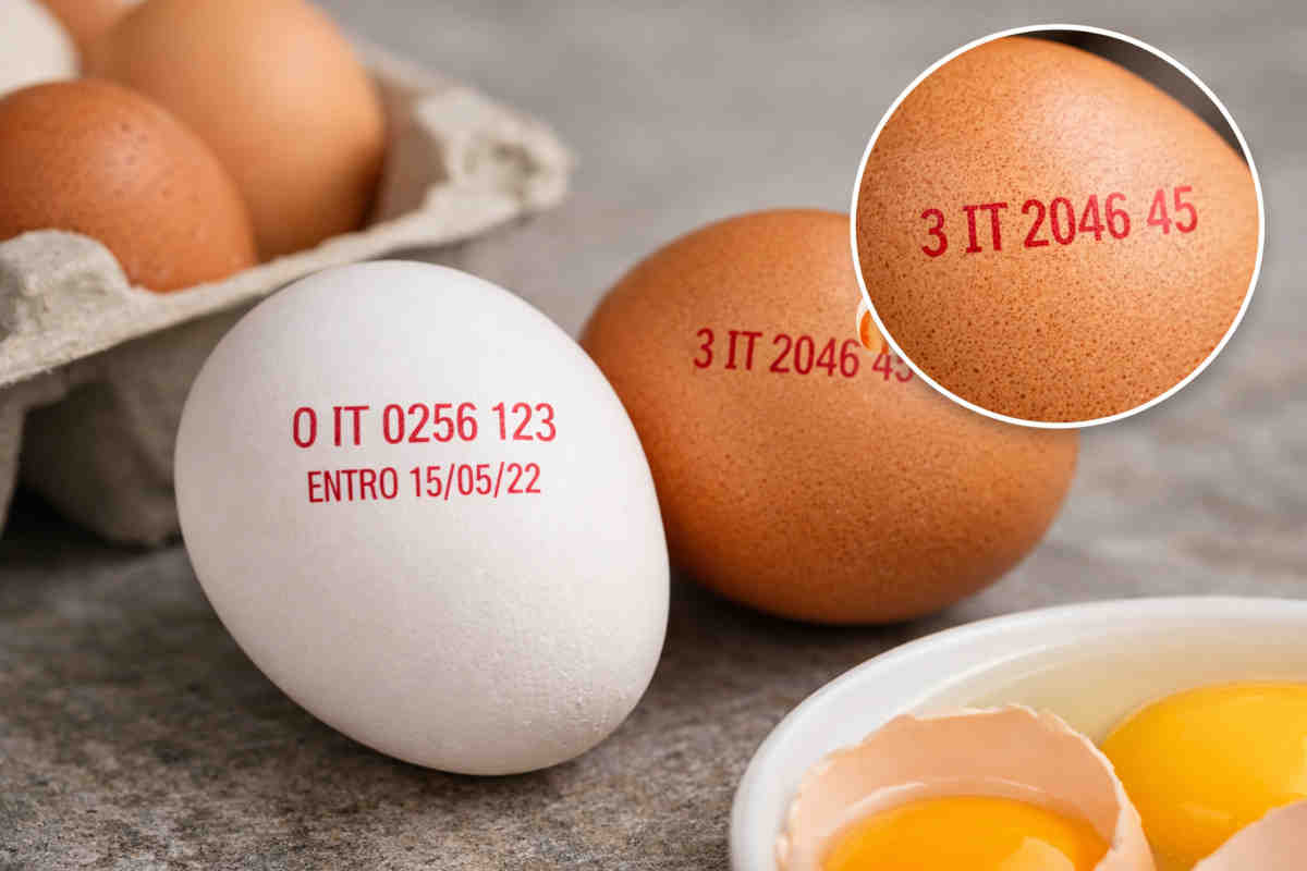 Particolare dei codici scritti sopra le uova