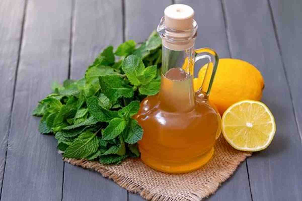 Come eliminare la puzza di fritto Ilmangione.it