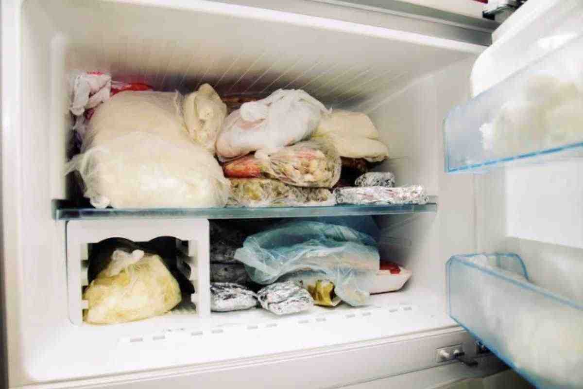 Congelatore (www.ilmangione.it)